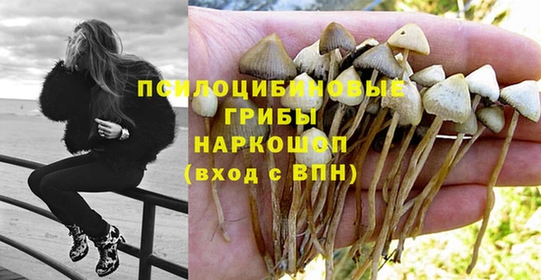 COCAINE Заводоуковск