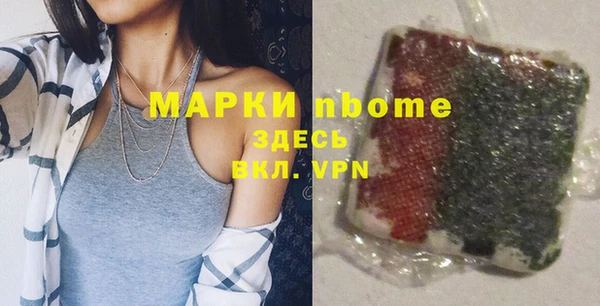 индика Ельня