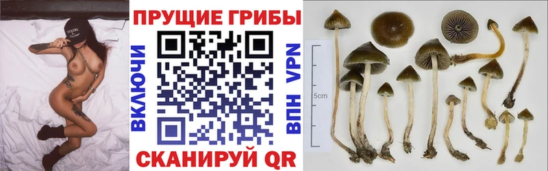Псилоцибиновые грибы мухоморы  hydra онион  Теберда 